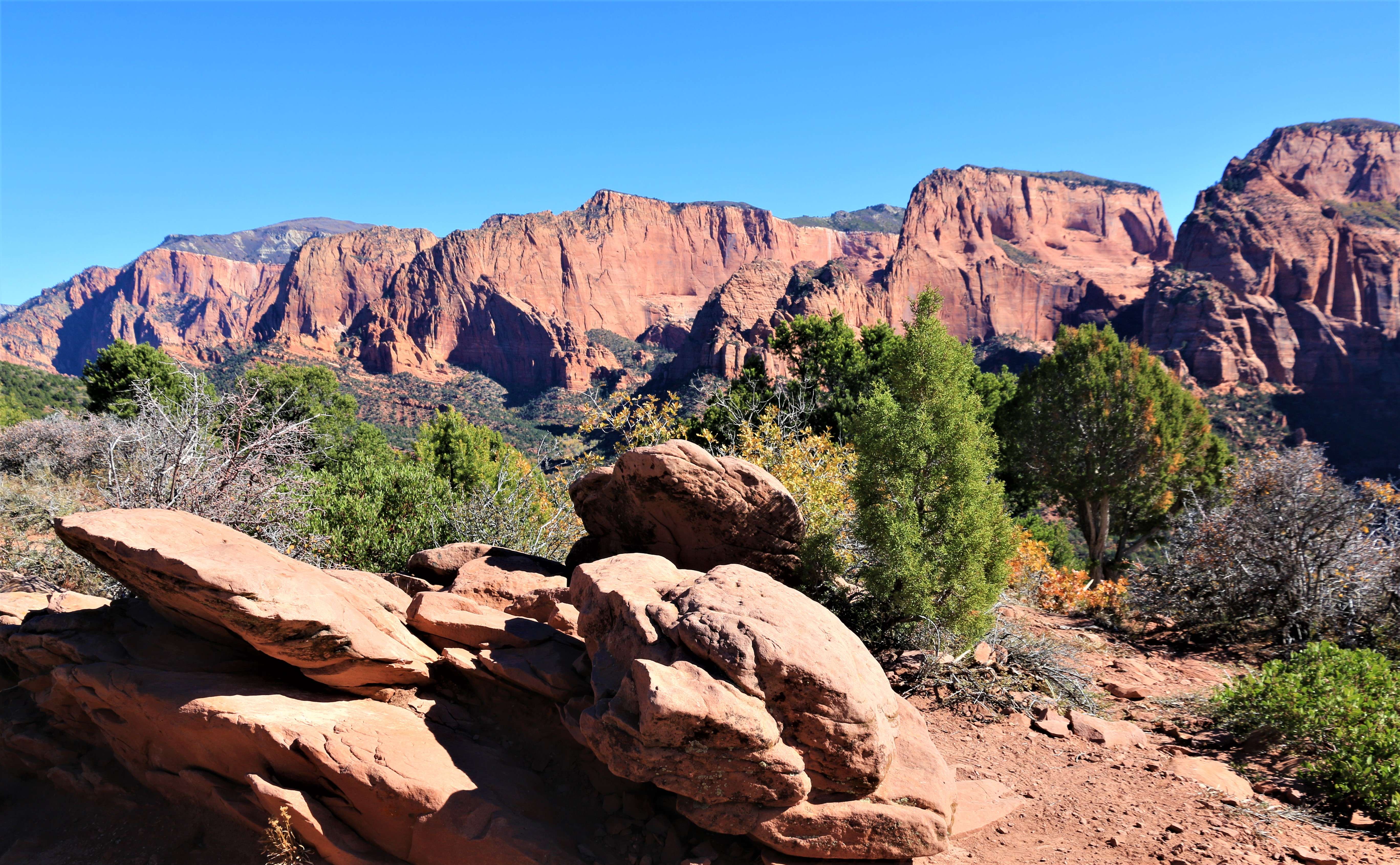 Zion NP